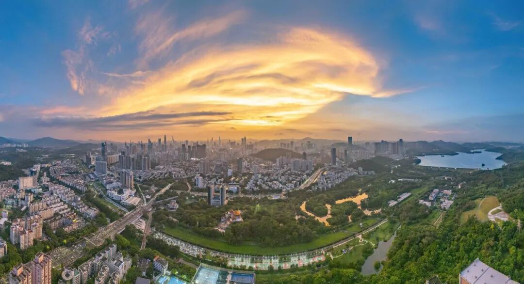 开工即冲刺！罗湖部署五大领域69个项目任务，奋力开局跃升！