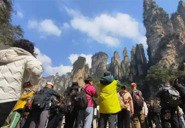 （今年春节假期，游客在张家界国家森林公园。 通讯员 摄）