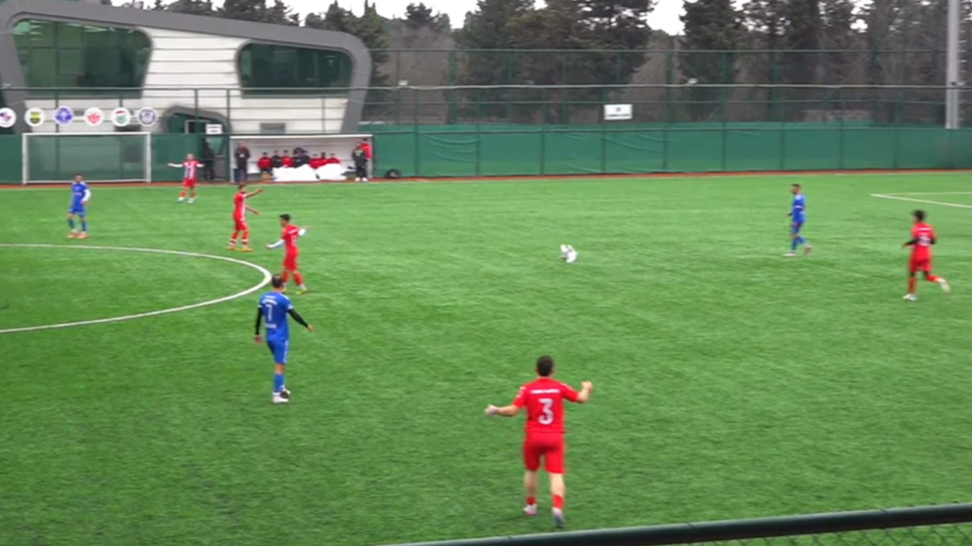 土耳其一足球赛上演暖心一幕：门将开球意外击落海鸥，球队丢了冠军，却救回海鸥一条命