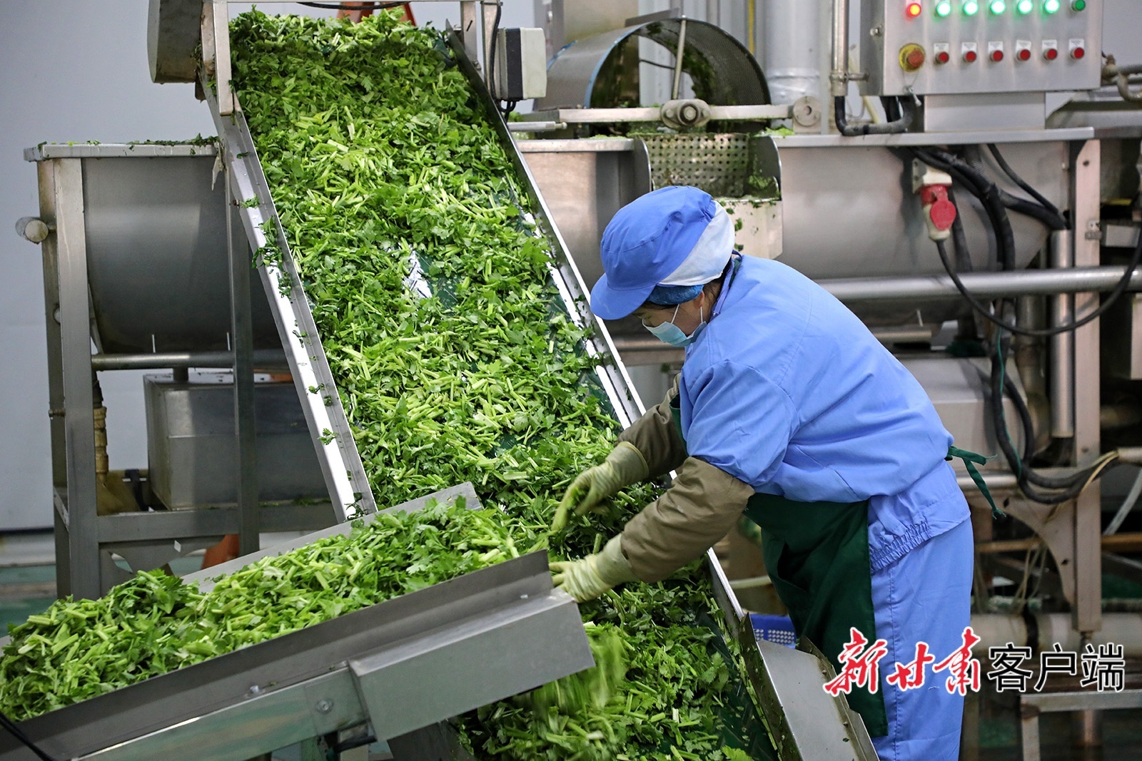 2月24日,位于武山县的甘肃陇浆源农业科技有限公司内,节后复工复产的工人立即投入到新的生产热潮中。新甘肃·甘肃日报通讯员 康正东 管秋勇