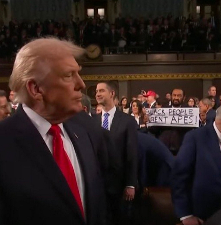 去年拿手杖指着特朗普骂的议员,今年又整活了