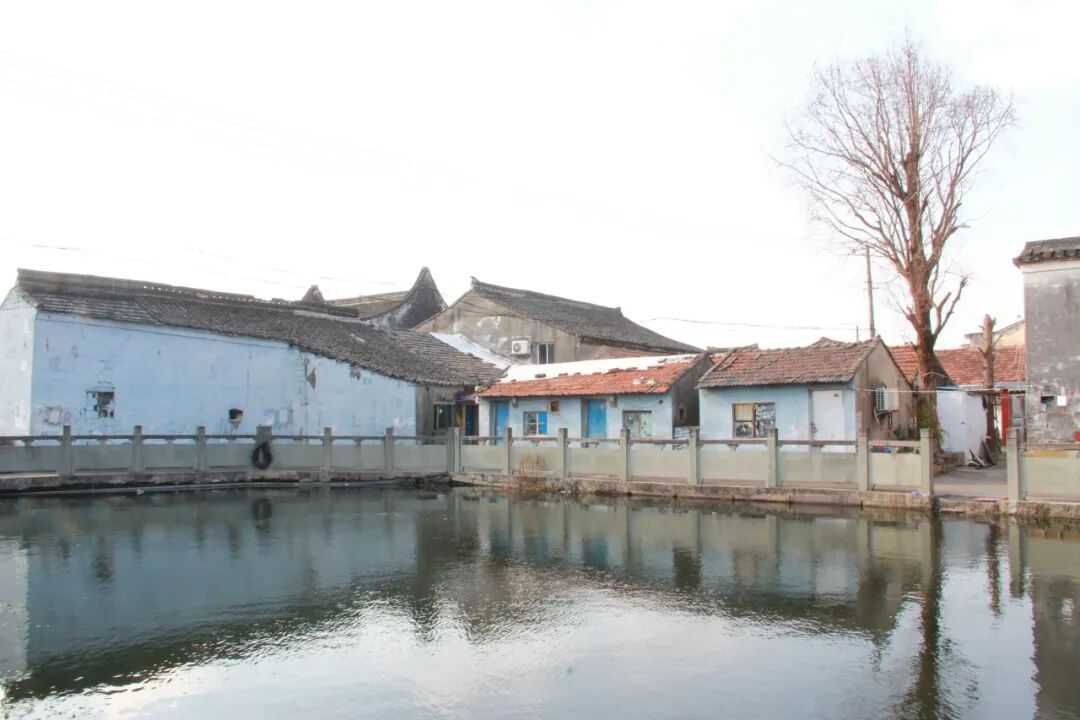 江北这个村太治愈了！年味浓到化不开