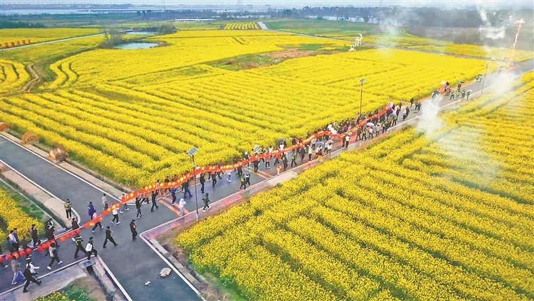 南昌县：龙腾花海（图）
