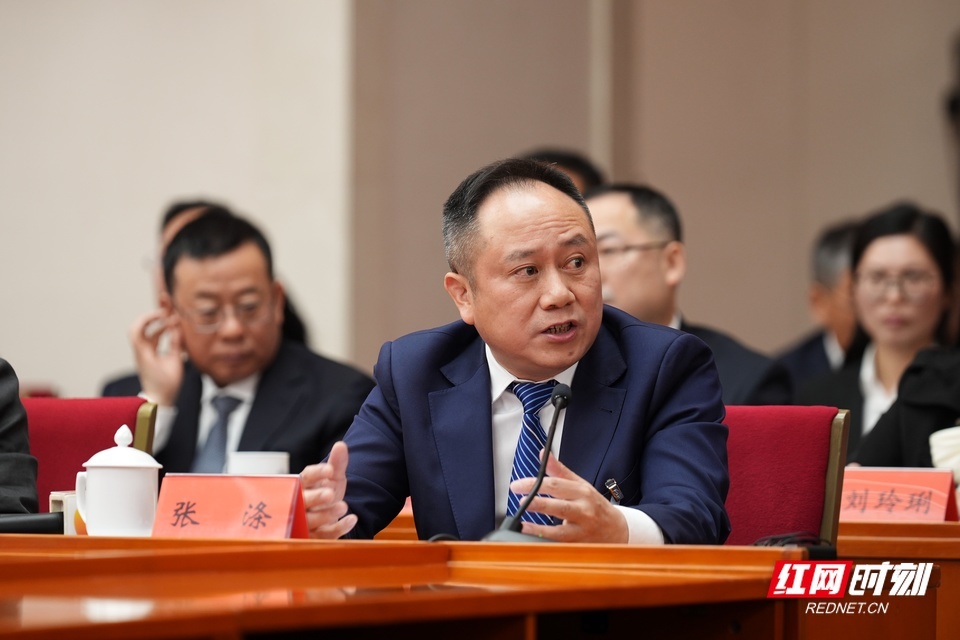 代表在回答记者提问。