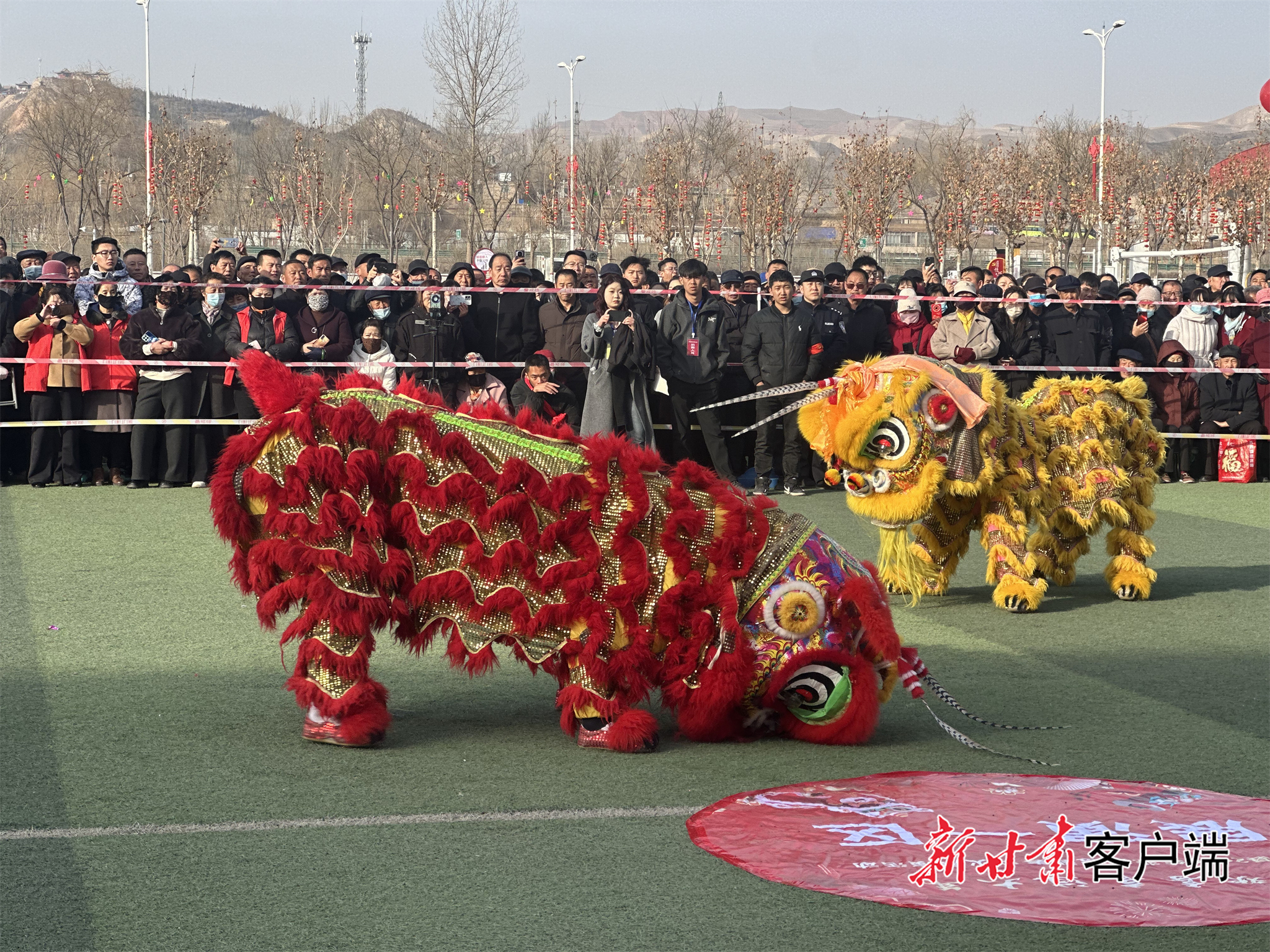 舞狮表演　新甘肃&middot;甘肃日报记者　王煜宇　摄