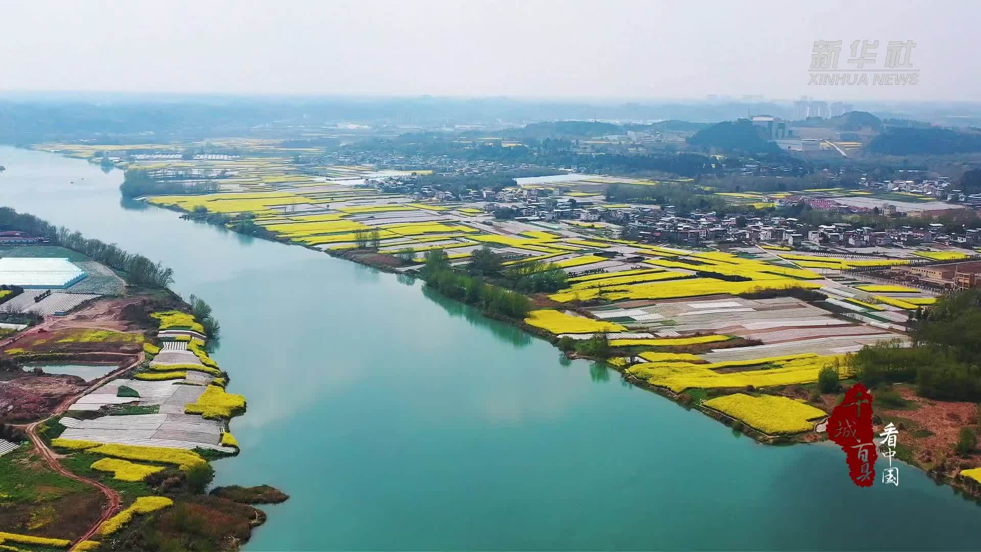 千城百县看中国｜四川简阳：油菜花开带热乡村旅游