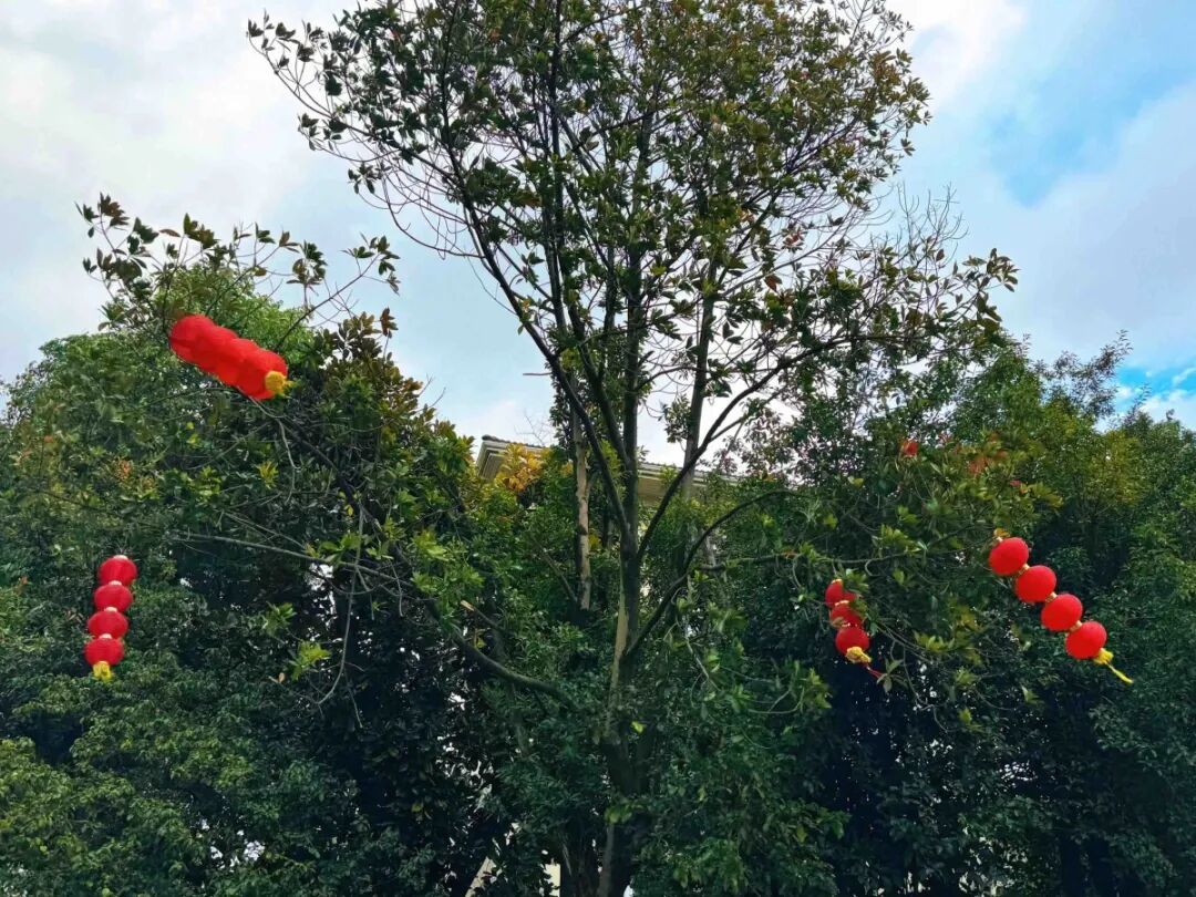 10级大风，“陆地台风”来了！还有一波冷空气在路上