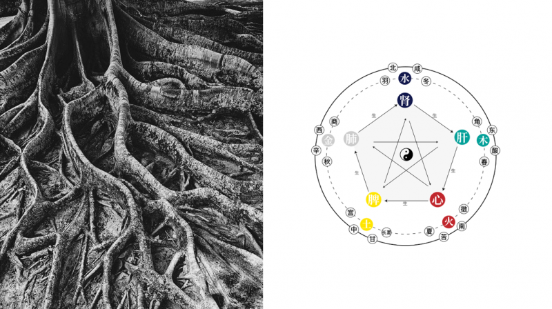 点击查看原始图片