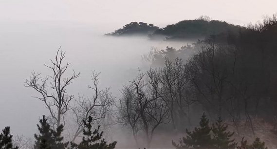 日照五莲：气温回暖 大青山现云海美景仿若水墨画卷
