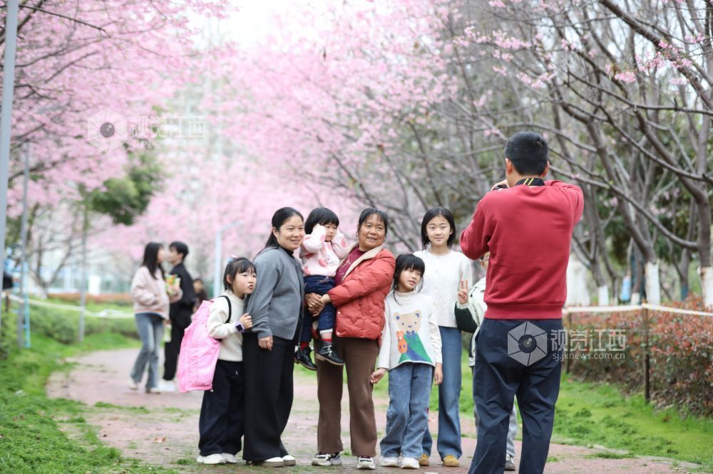 2026年2月27日，在江西省赣州蓉江新区滨江公园，一家人在樱花树下拍照。