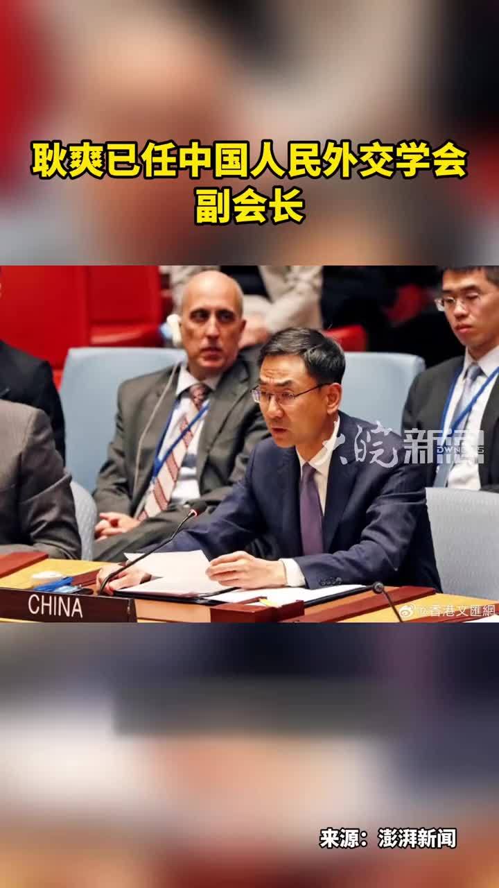 耿爽已任中国人民外交学会副会长