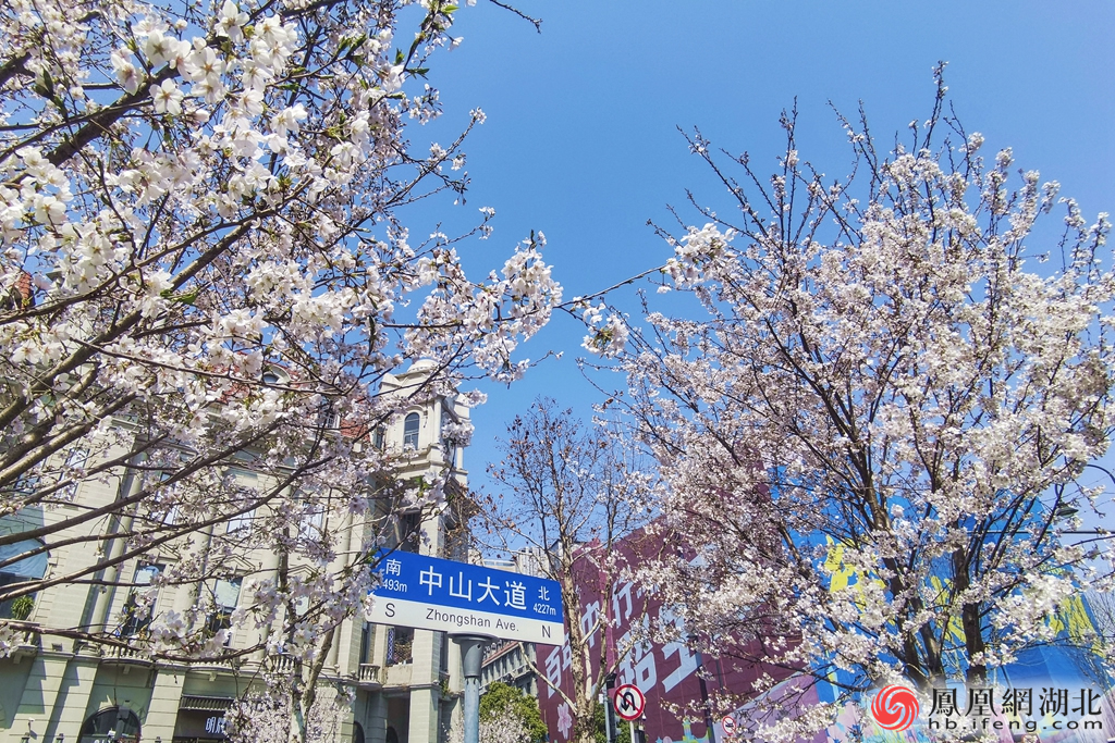 汉口中山大道 摄影：熊丹丹