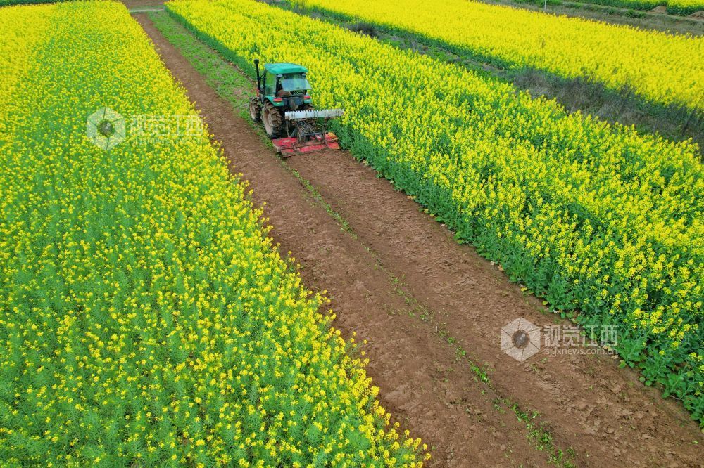 2026年3月4日，江西省吉安市泰和县万合镇前进村，农民驾驶拖拉机正在翻耕整地，准备春播春种。