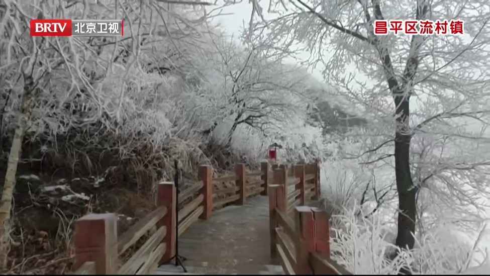 飞雪迎春到 美景入画来