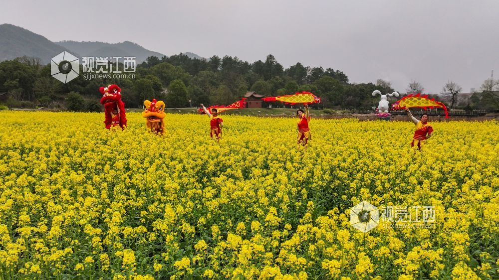 春日的江西省吉安市青原山风景区，油菜花田宛如一片金色的海洋，微风拂过，泛起层层金色波浪，花香四溢，沁人心脾。
