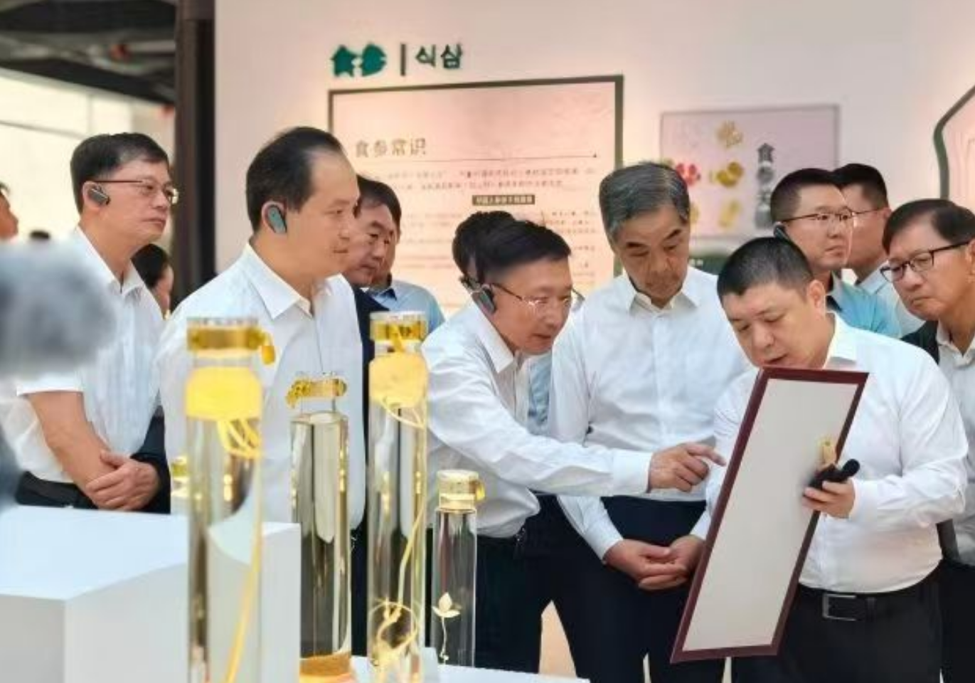 （全国两会）让玉米稳下来、让人参走出去  全国政协常委郭乃硕讲述黑土地上的履职故事