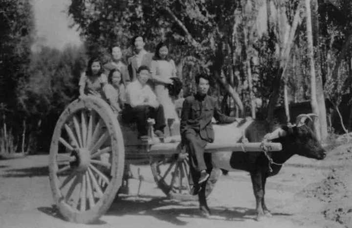 孙儒僴(前排右二)与同事们坐在牛车上(资料照片) 受访者供图