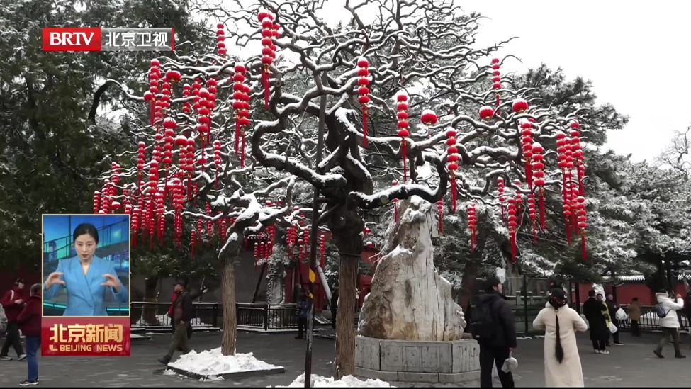 惊蛰飘雪润物无声 草木发芽春花吐蕊