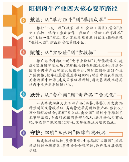 养殖户不再靠天养 “数字”牵着产业跑 滨州阳信一头“牛”如何“链”动679亿大市场