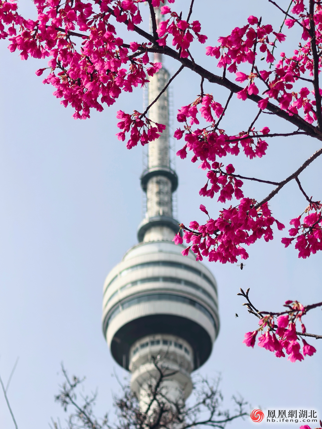 龟山公园 摄影：熊丹丹