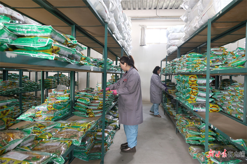 庆阳益翔药业有限公司工人整理中药饮片