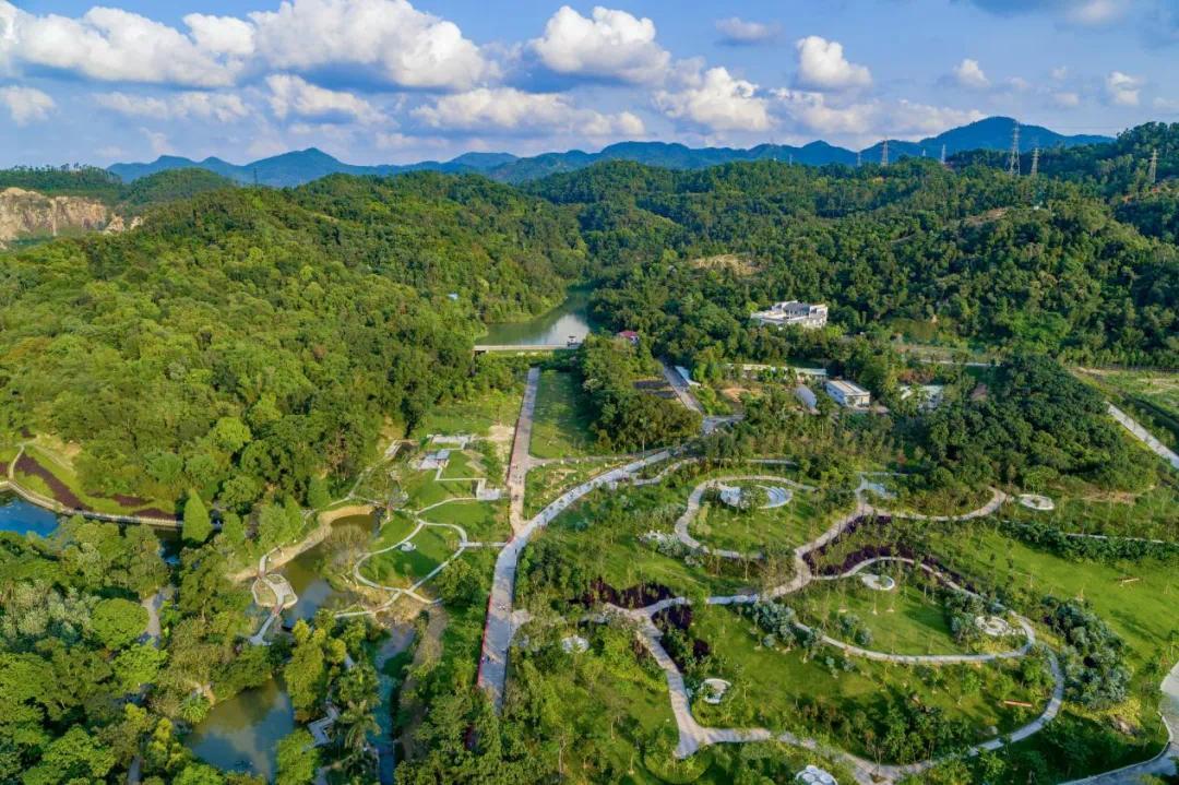 守护生物多样性 中山植物园升级为广东省区域植物园