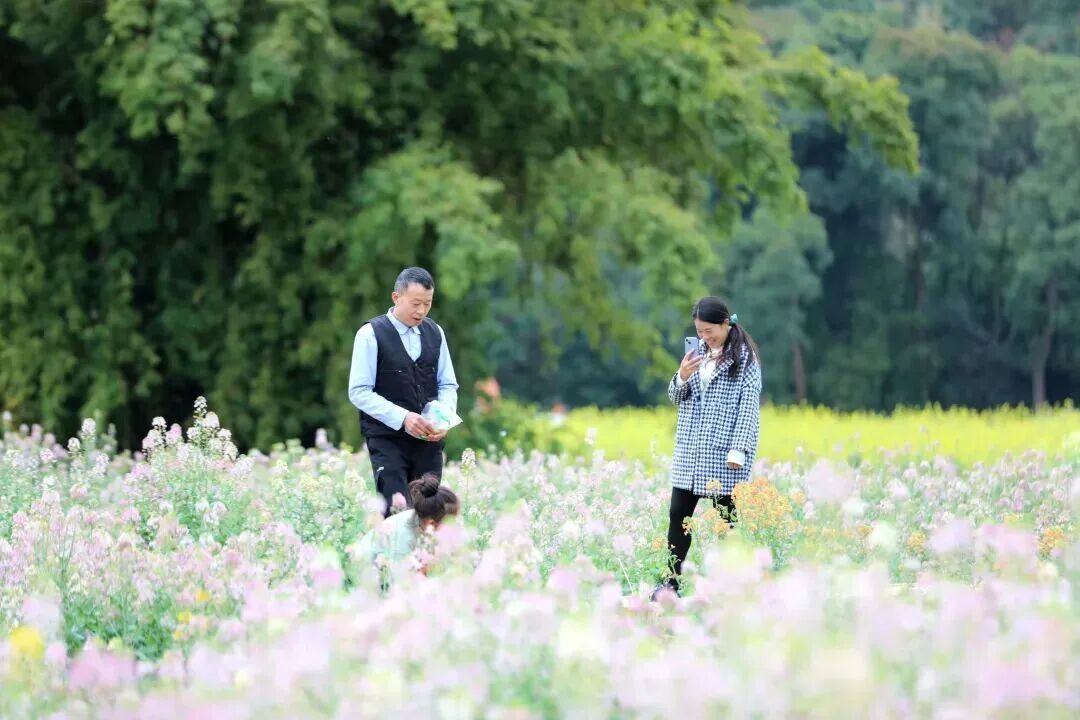 浪漫启春！这份赣州春日赏花攻略请收好