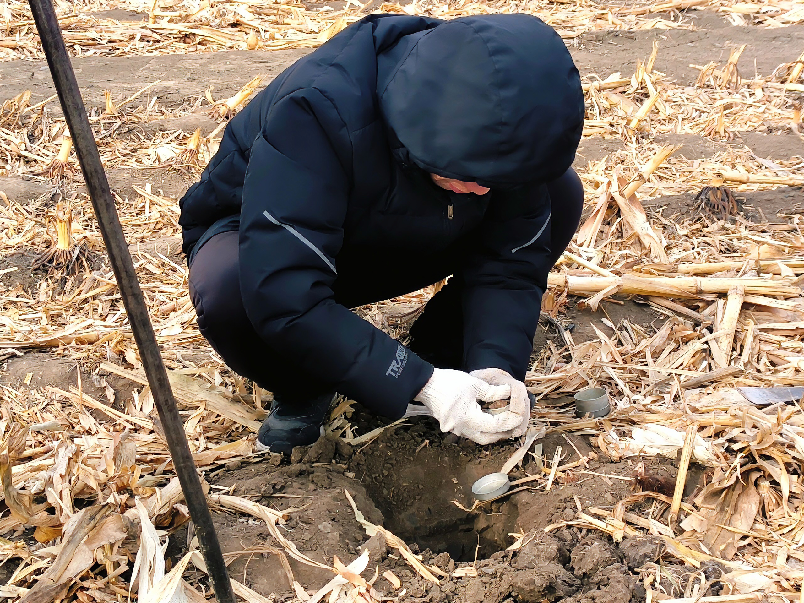 对土壤进行取样