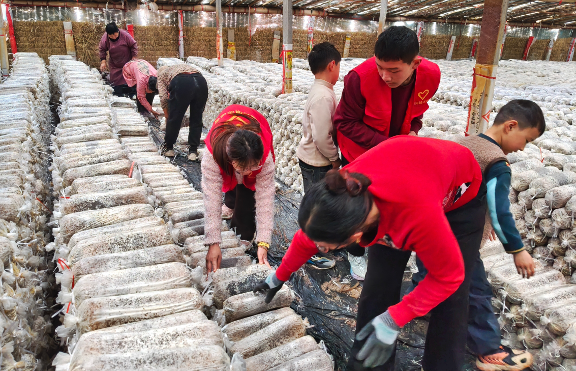 志愿红遍乡村,徐州丰县如何让雷锋精神焕发活力?