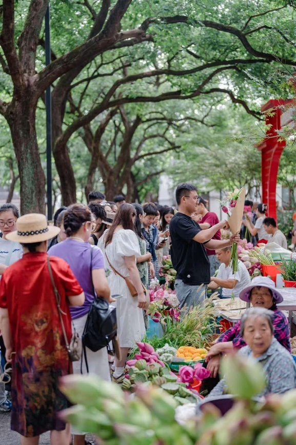 “一毫米”的定力:古城姑苏的“慢功夫”