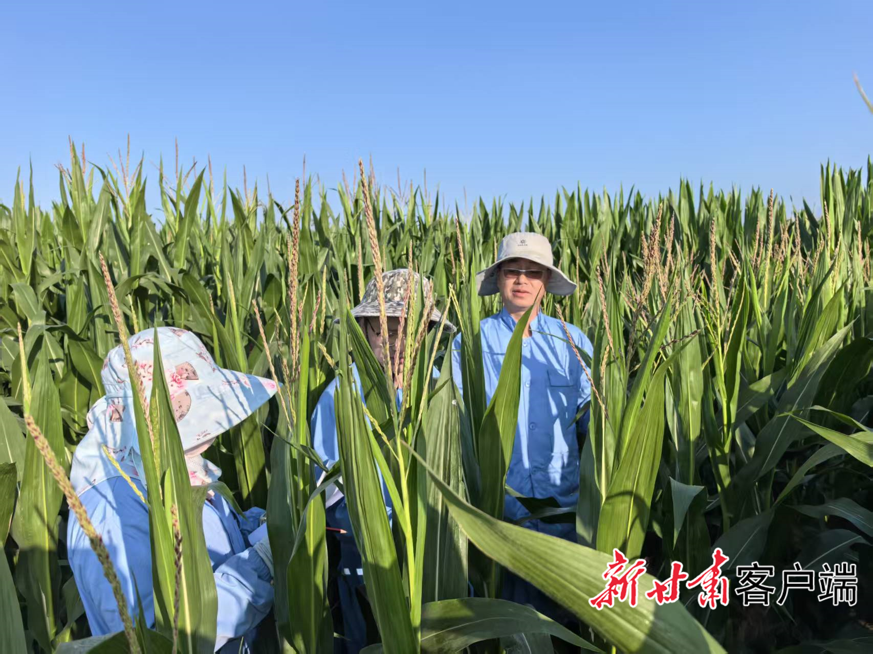 科技人员在基地工作