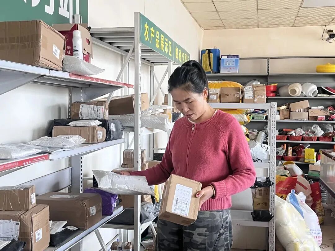 草莓棚里的增收“密码”
