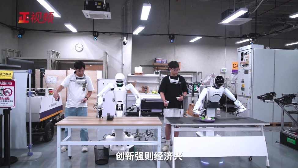 中国经济的“榫卯”之韧丨喻见中国经济