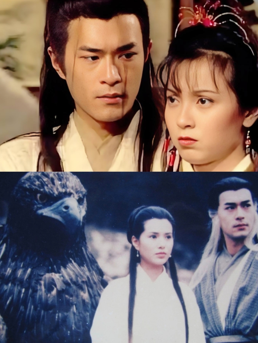 1995年版中的“过芙”与“过龙”