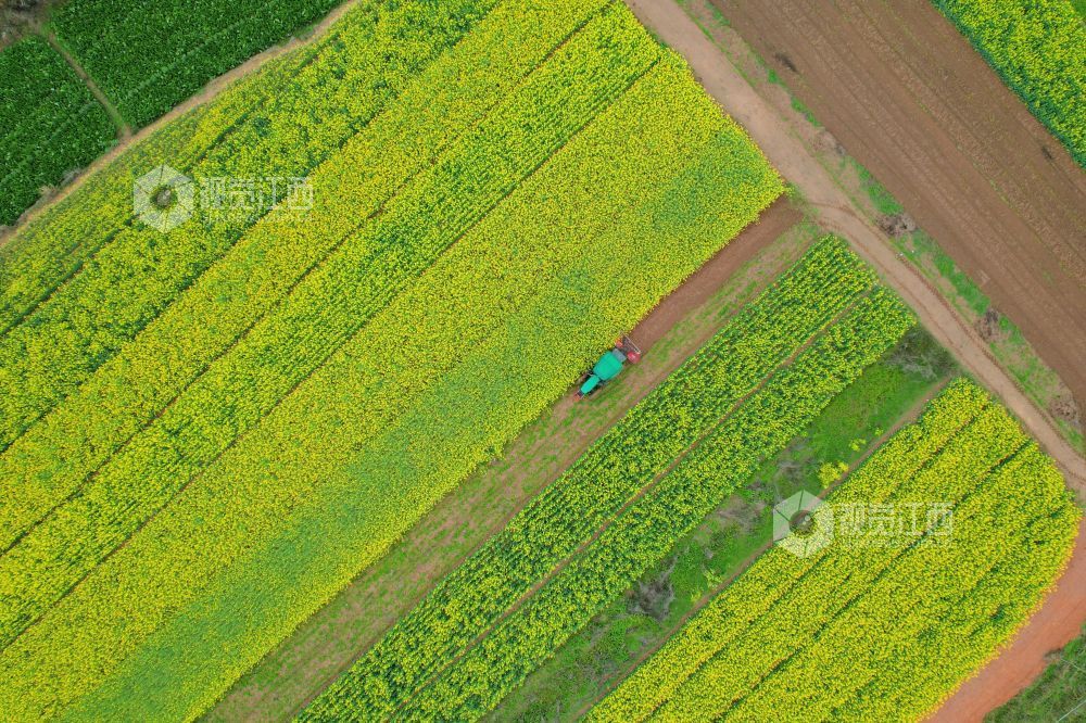 2026年3月4日，江西省吉安市泰和县万合镇前进村，农民驾驶拖拉机正在翻耕整地，准备春播春种。