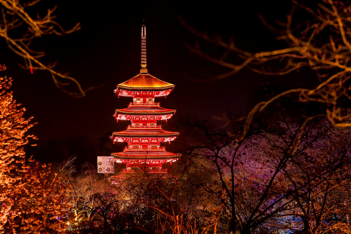 相约春天赏樱花,我在武汉东湖等你