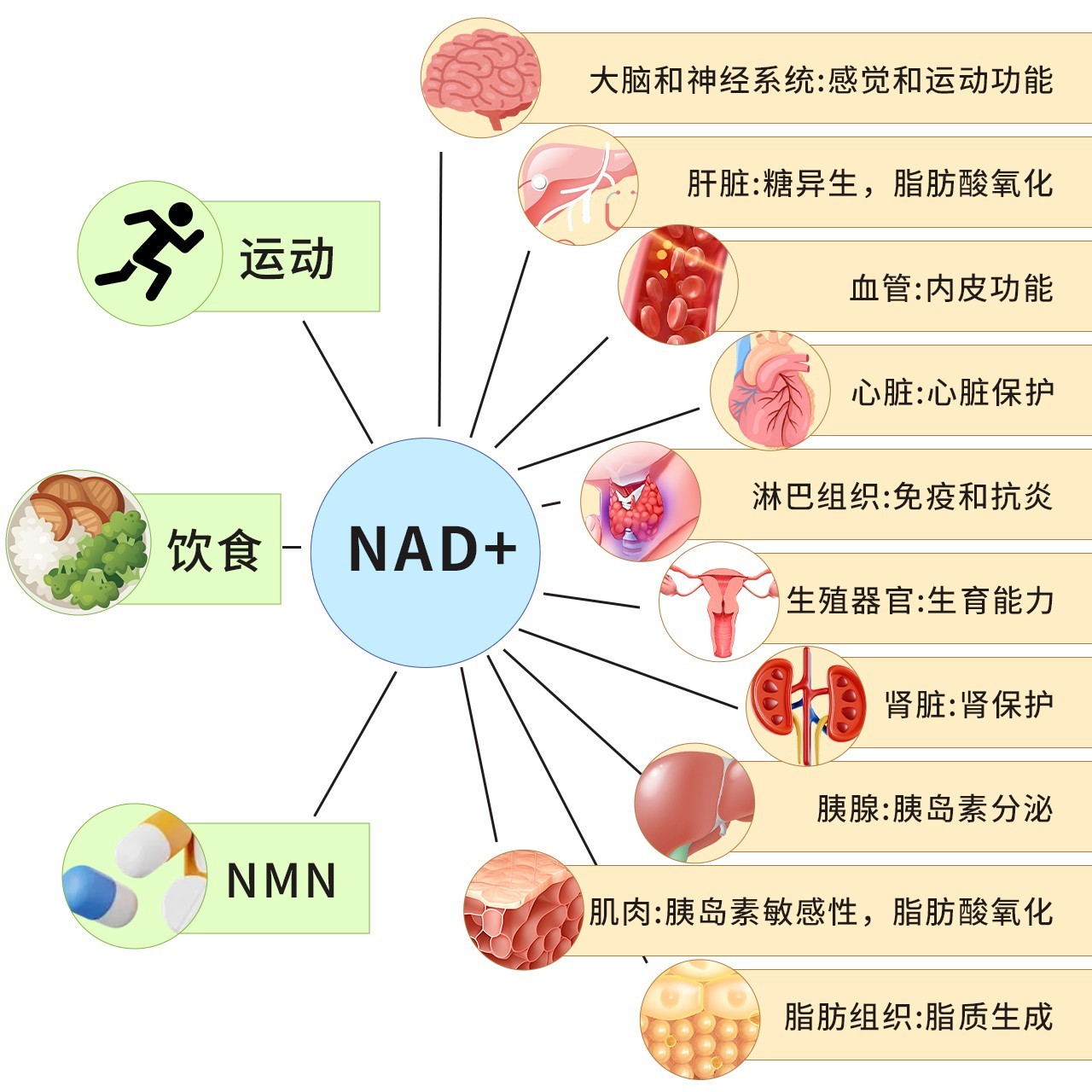点击查看原始图片