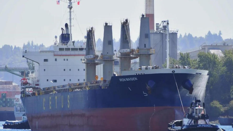 2艘中国货船确认成功通过霍尔木兹海峡