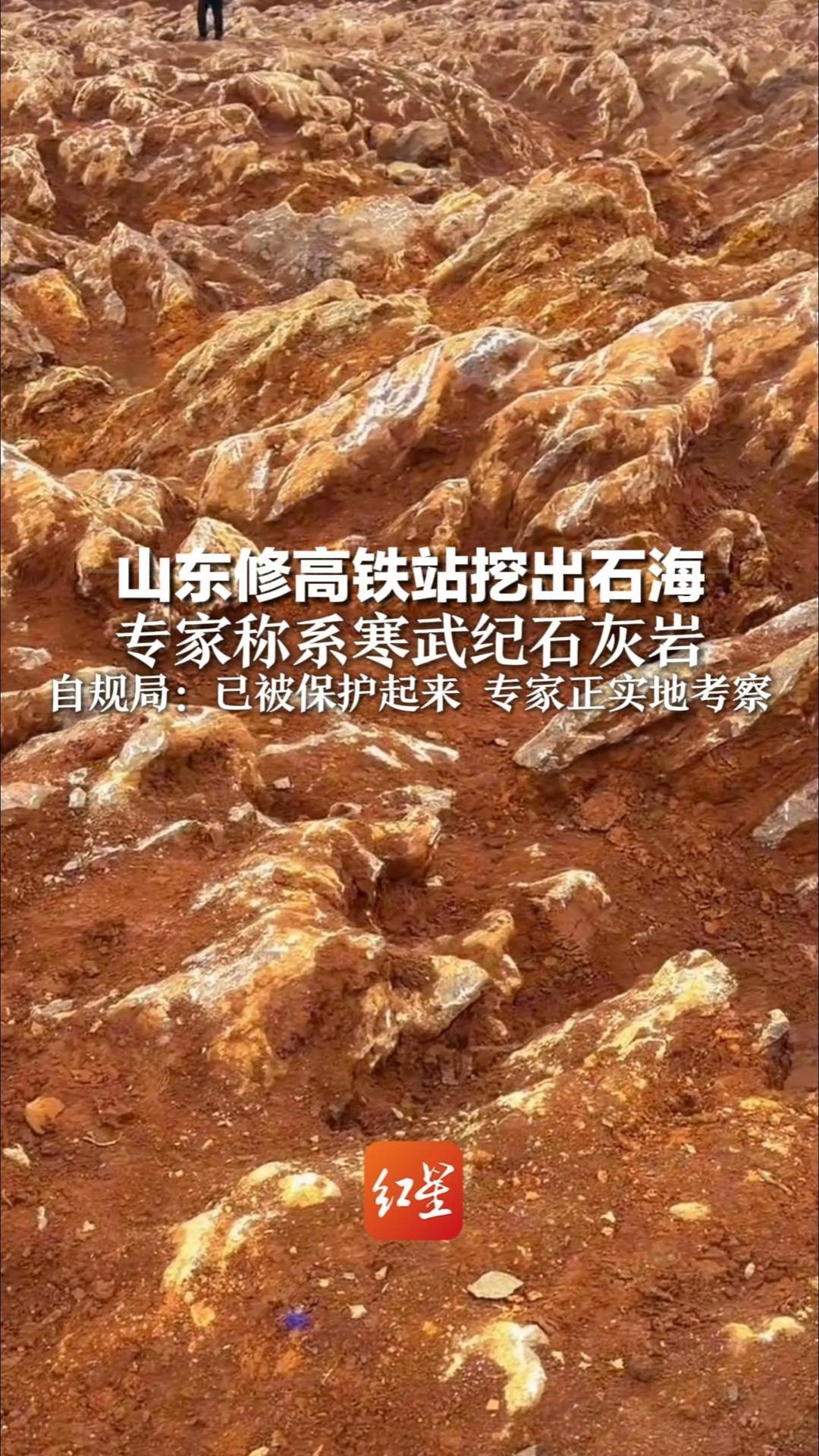 山东修高铁站挖出石海 专家称系寒武纪石灰岩 网友呼吁建地质博物馆 自规局：已被保护起来 专家正实地考察