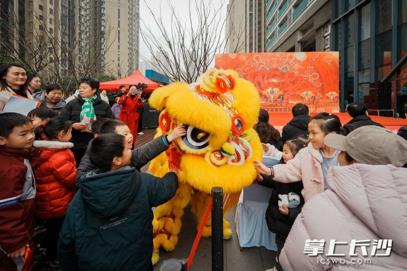 喜乐会在象征着吉祥与活力的传统舞狮表演中火热开场。 均为长沙晚报全媒体记者陈飞摄