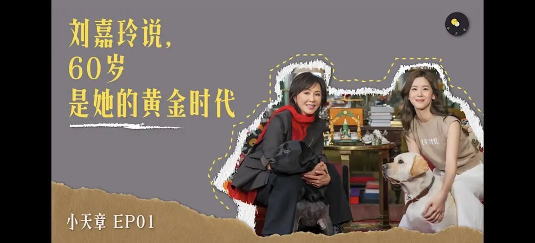 我被打脸了——被章泽天