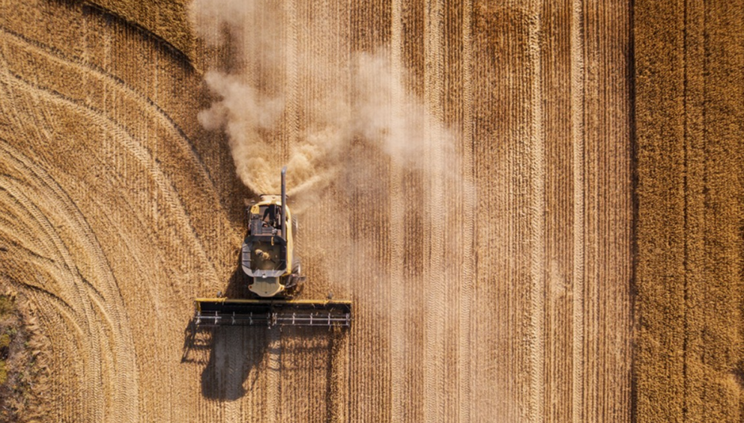 春节AI红包,本质是一场大规模微数据收割行动