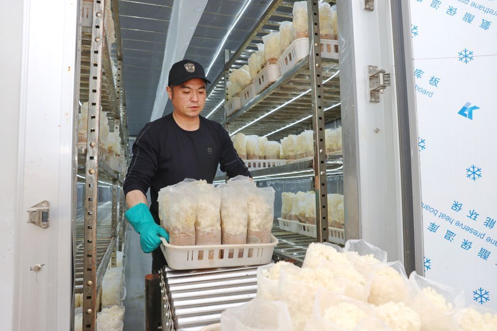 �ӱ�ʡ��̨�ºӣ���5G�ǻ�΢����������������������