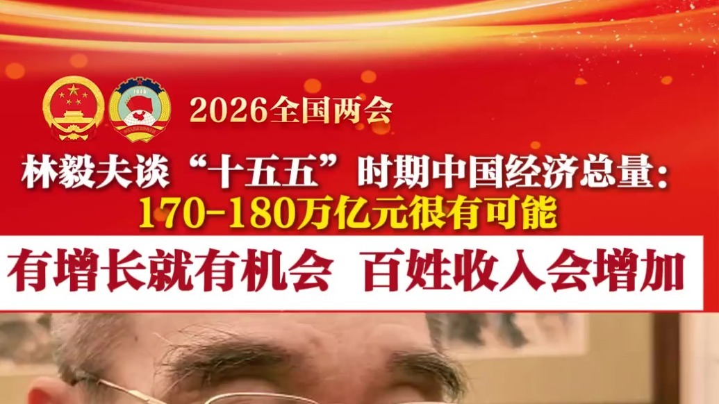 林毅夫谈“十五五”中国经济总量：百姓收入会增加