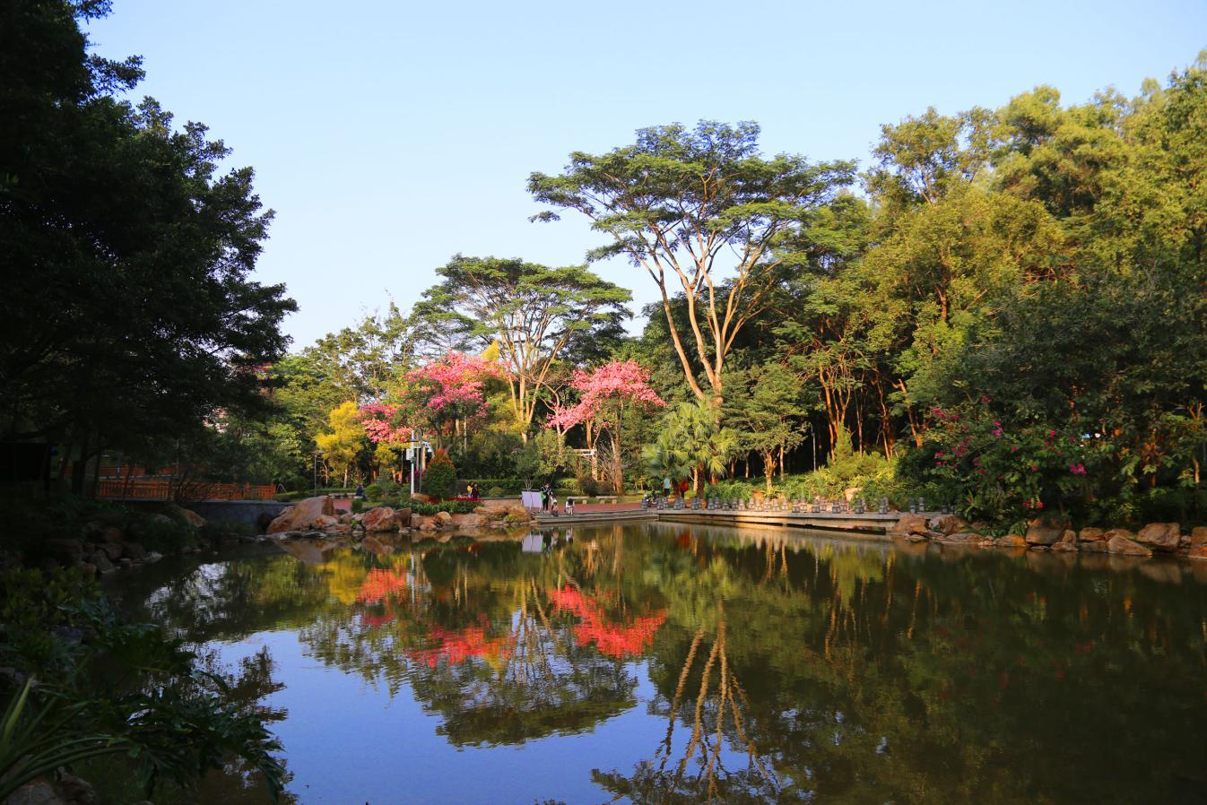 图：花林观鱼潭