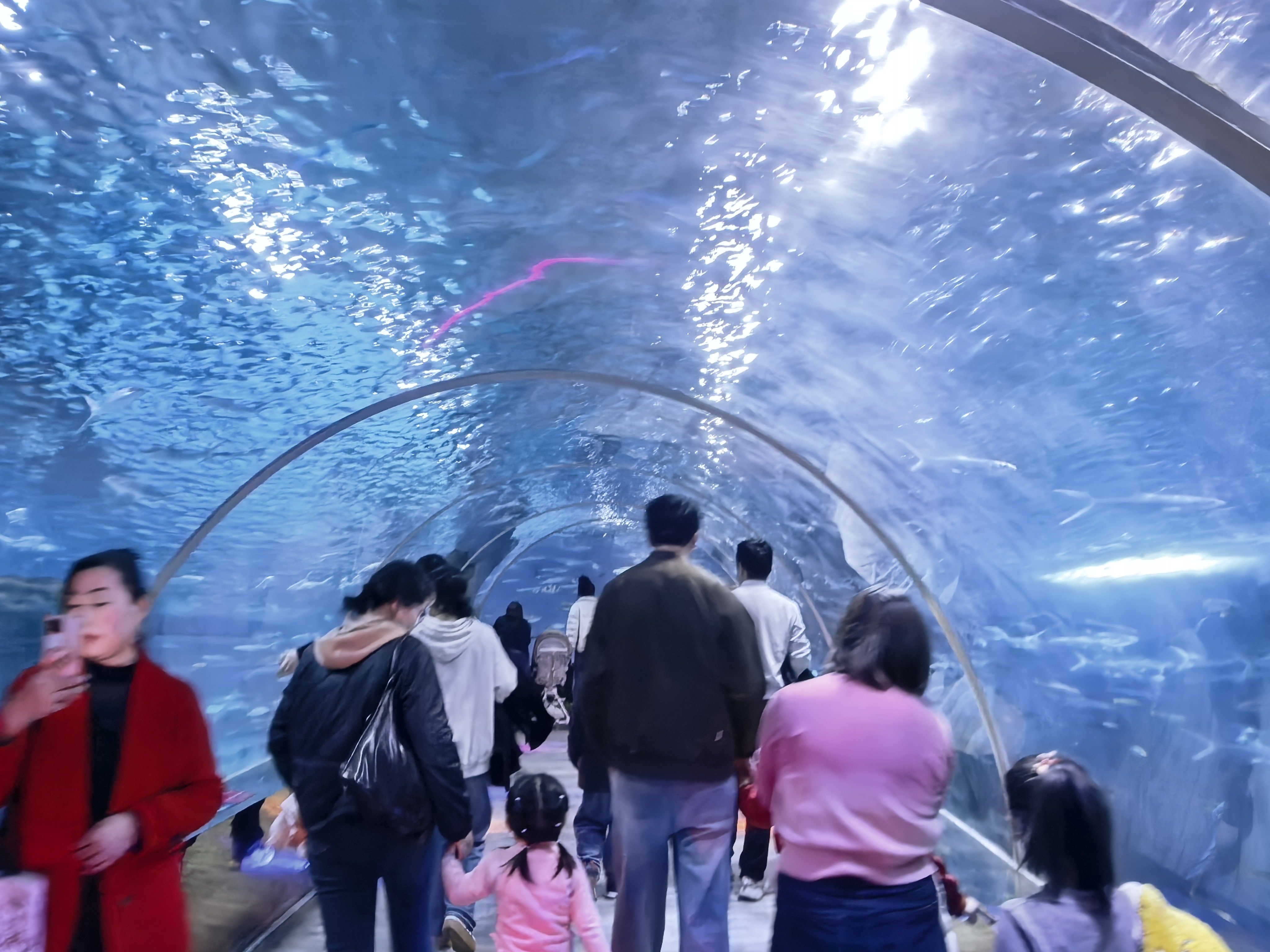 游客游览兰州极地海洋世界