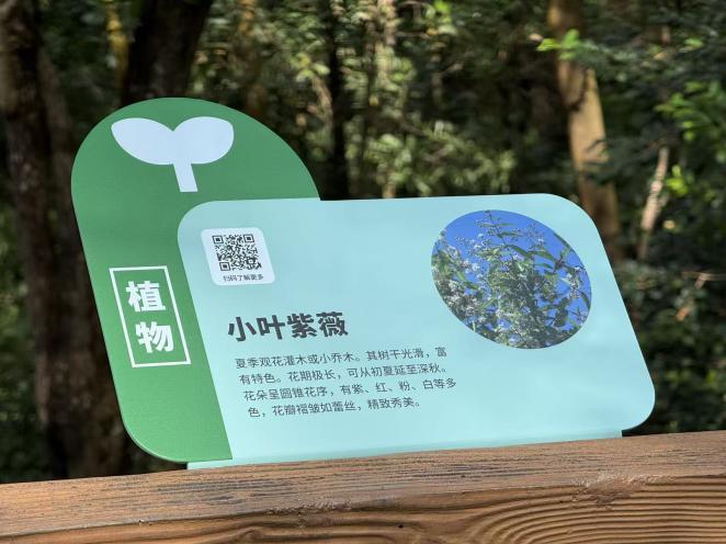 春日踏青何处寻：龙城公园“城市生灵自然径”等你来邂逅