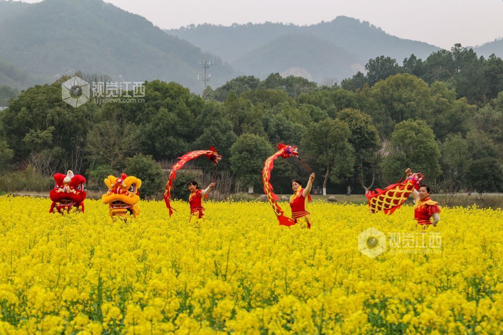 春日的江西省吉安市青原山风景区，油菜花田宛如一片金色的海洋，微风拂过，泛起层层金色波浪，花香四溢，沁人心脾。