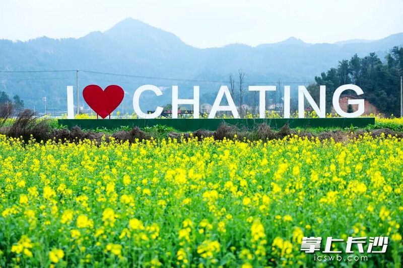 春有约，花不误。