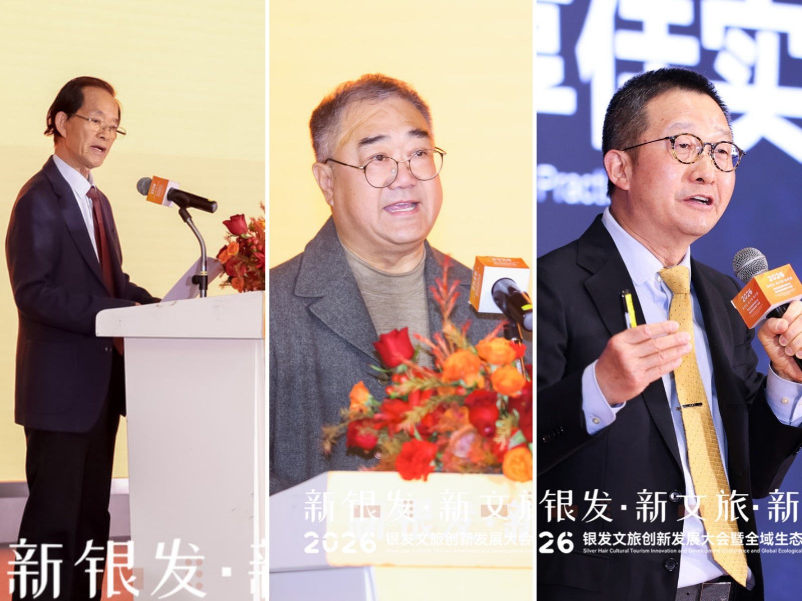 2026银发文旅创新发展大会暨全域生态融合产业展大会在宁召开